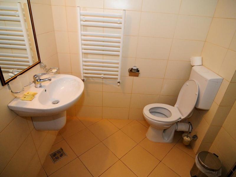 Hotel Termal Geoagiu Băi Εξωτερικό φωτογραφία