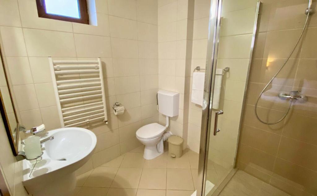 Hotel Termal Geoagiu Băi Εξωτερικό φωτογραφία