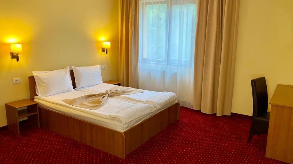 Hotel Termal Geoagiu Băi Εξωτερικό φωτογραφία