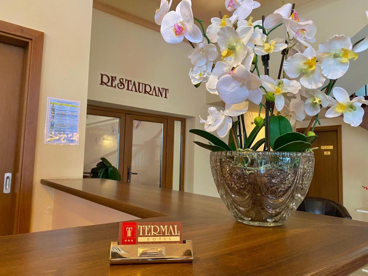 Hotel Termal Geoagiu Băi Εξωτερικό φωτογραφία